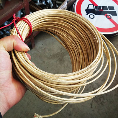 Thermocouple assemly wire